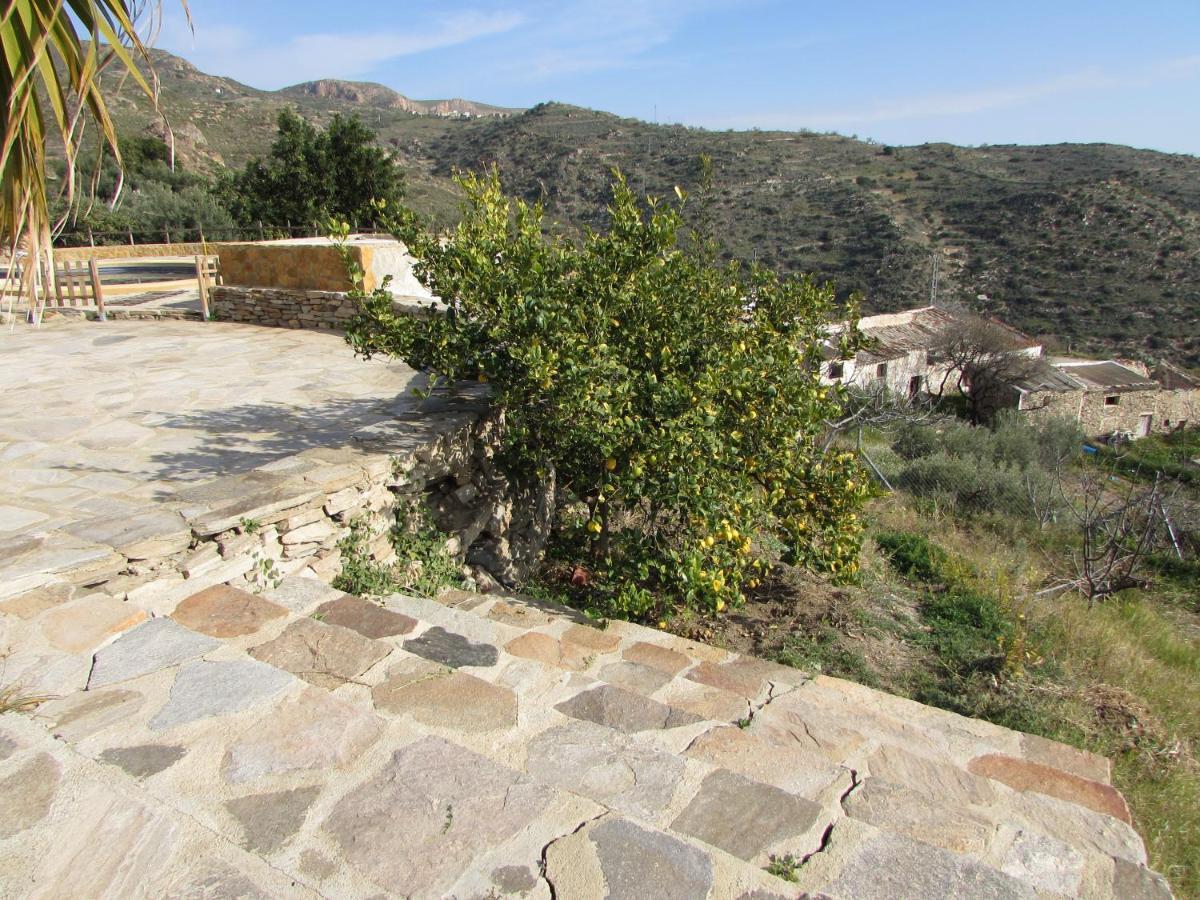 Villa Albarico Retreat à Bédar Extérieur photo